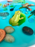 Pond Life Cycle Sensory Kit And Water Play