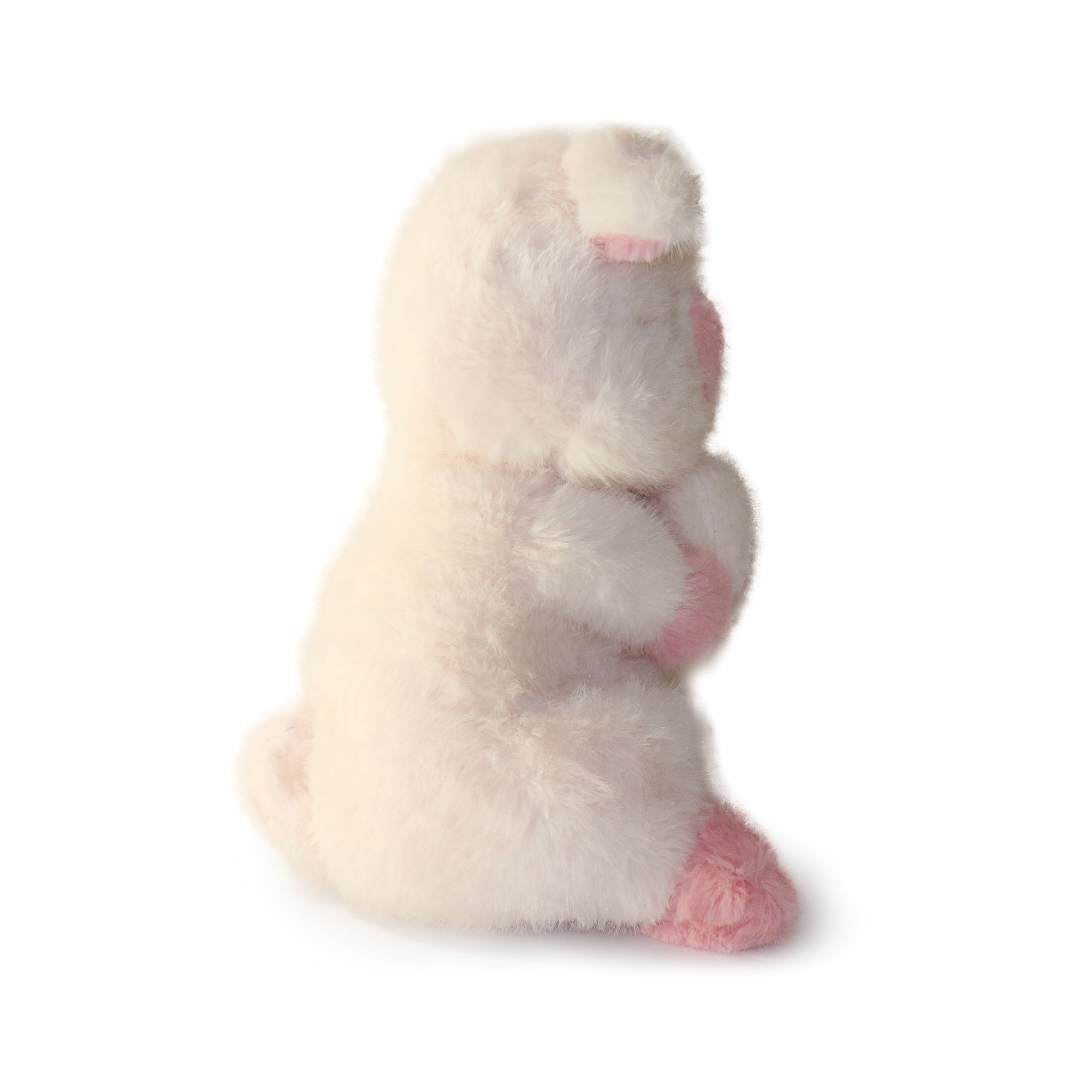 Peaches Pig: A Loving Plush Toy for Romantics, Partners, and Love-Givers