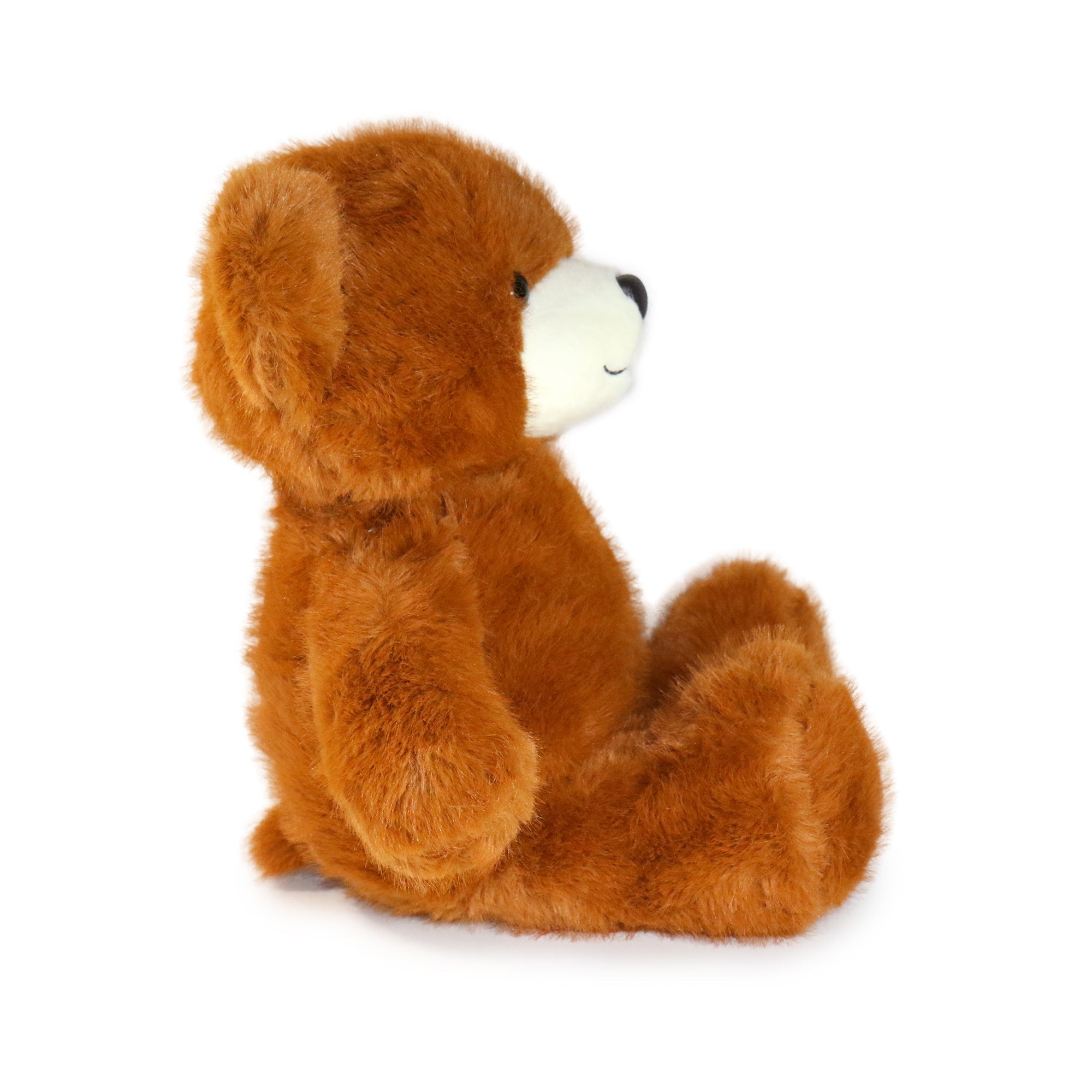 Momo Bear: A Large Plush Toy for Collectors, Curators, and Keepsake Lovers