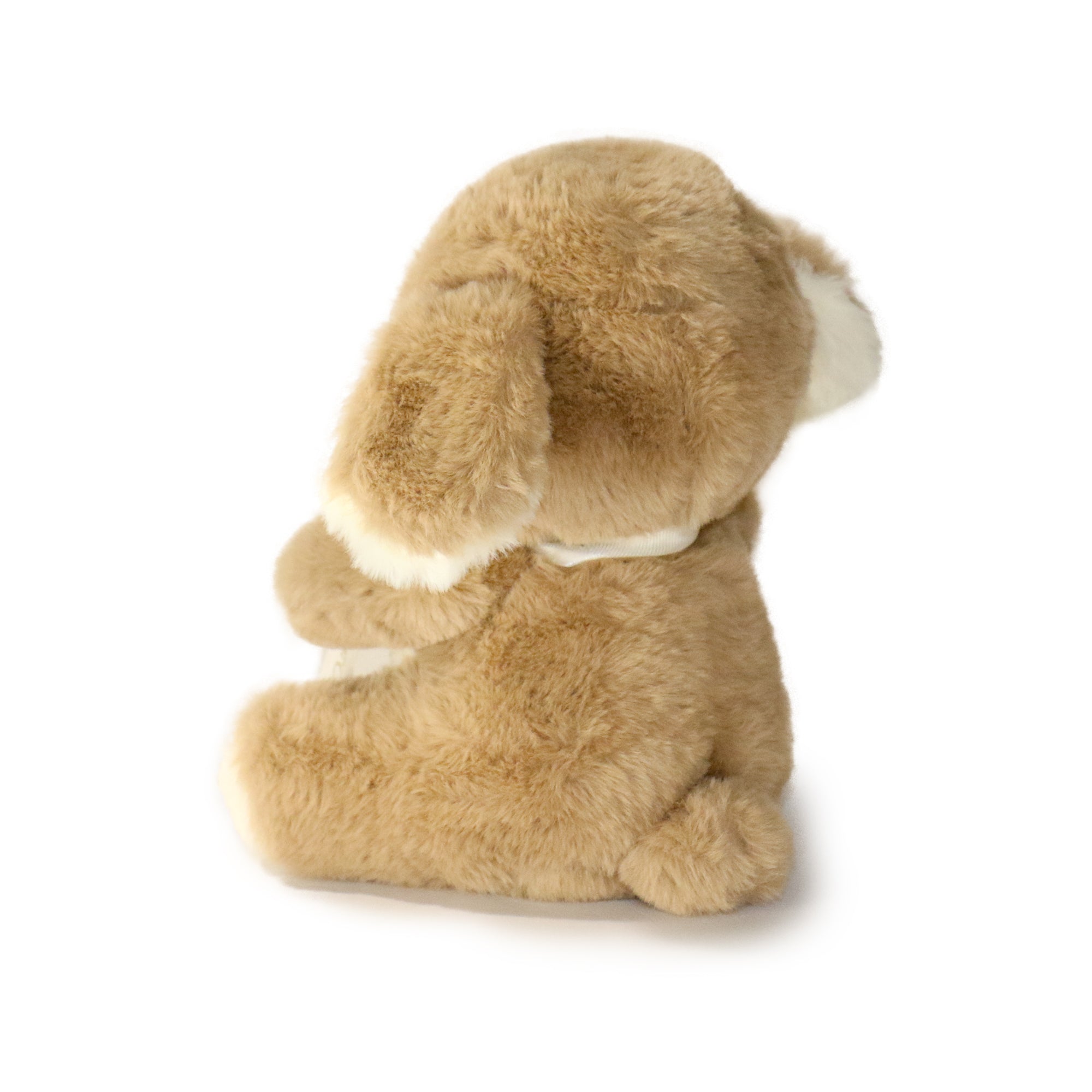 Just For You Dog: A Plush Toy Made to Make Someone Feel Special