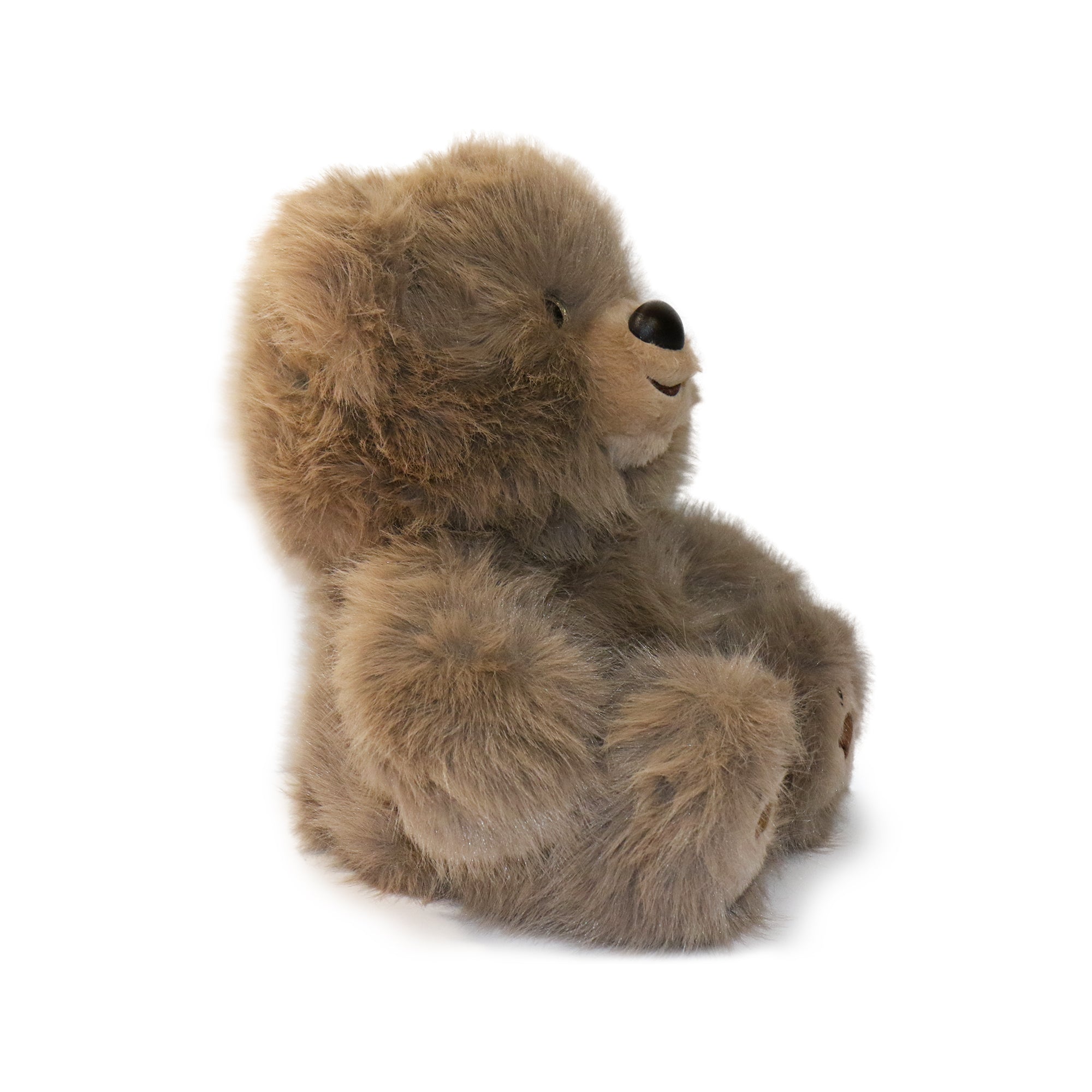 Honeywood Bear: A Plush Toy for Caregivers, Nurturers, and Comfort Givers