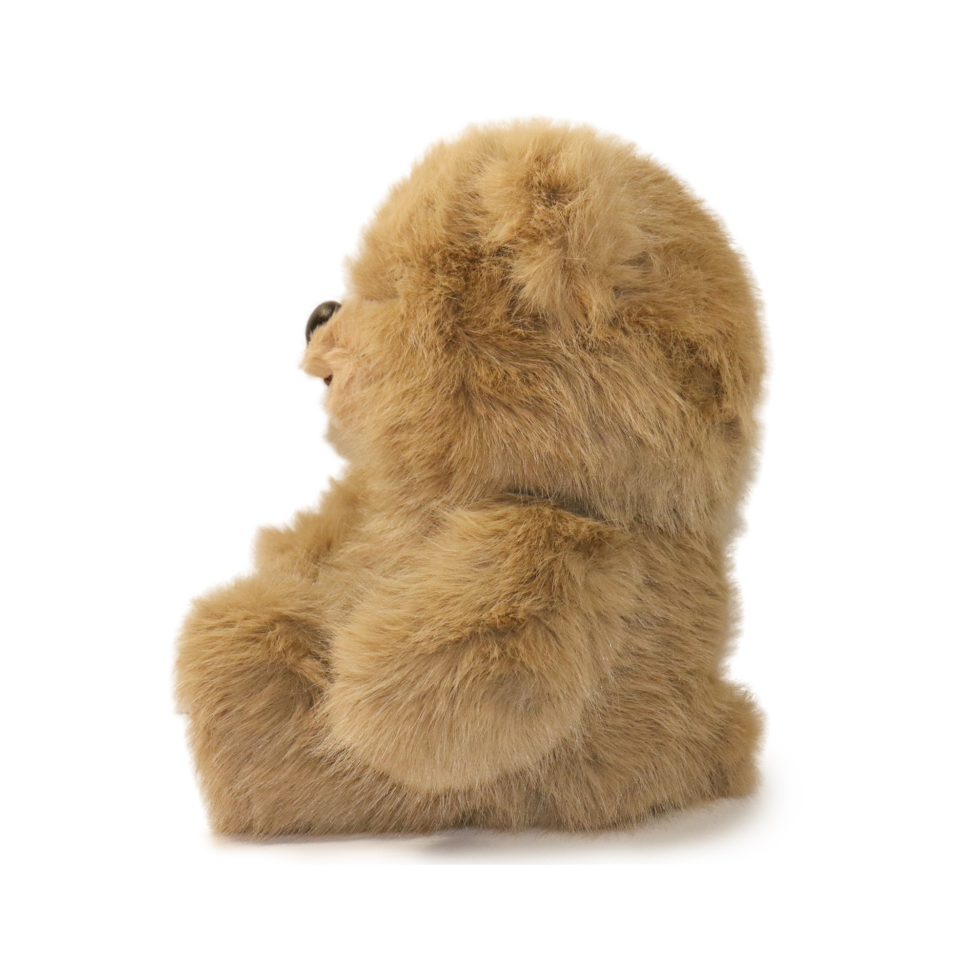 Honeywood Bear: A Plush Toy for Caregivers, Nurturers, and Comfort Givers