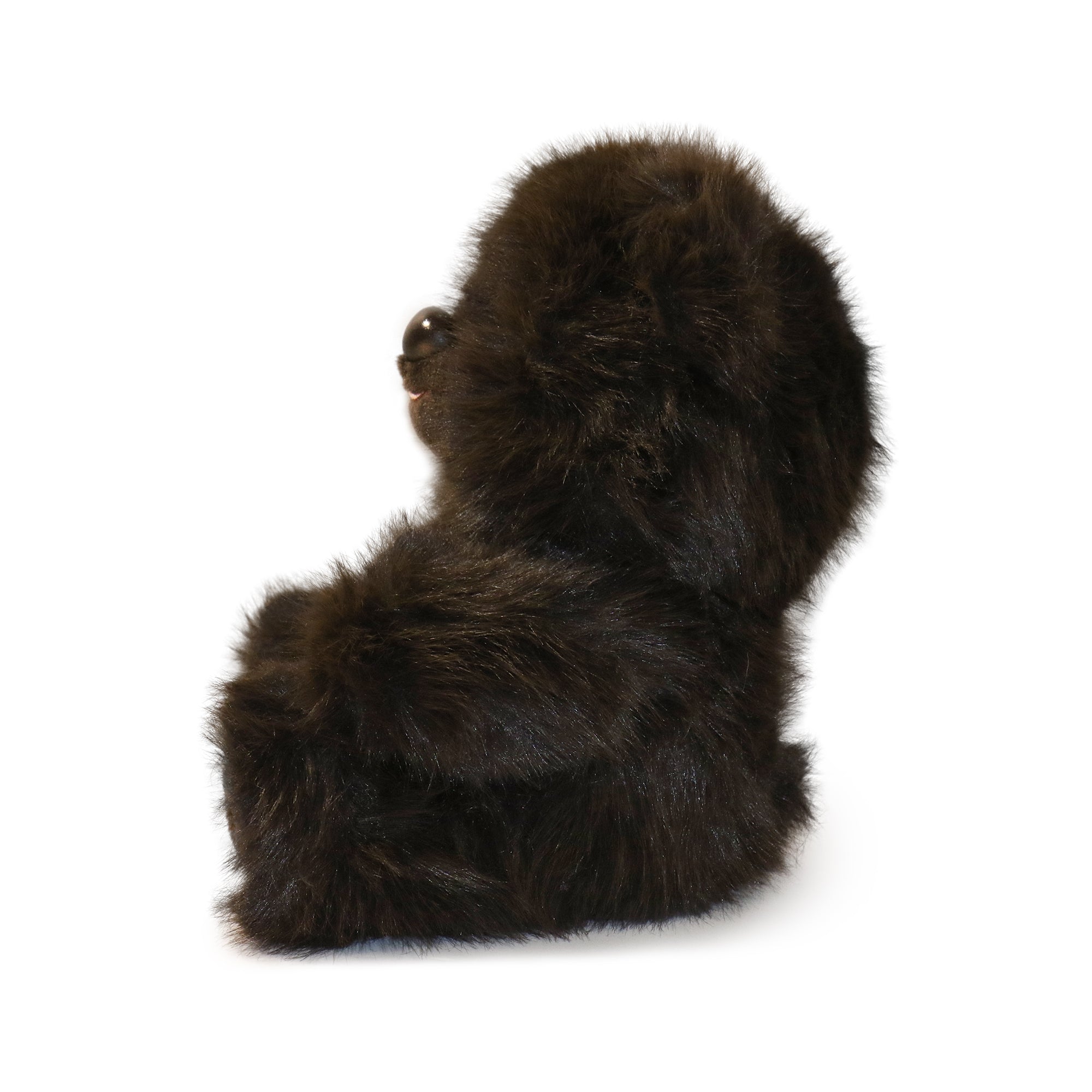 Honeywood Bear: A Plush Toy for Caregivers, Nurturers, and Comfort Givers