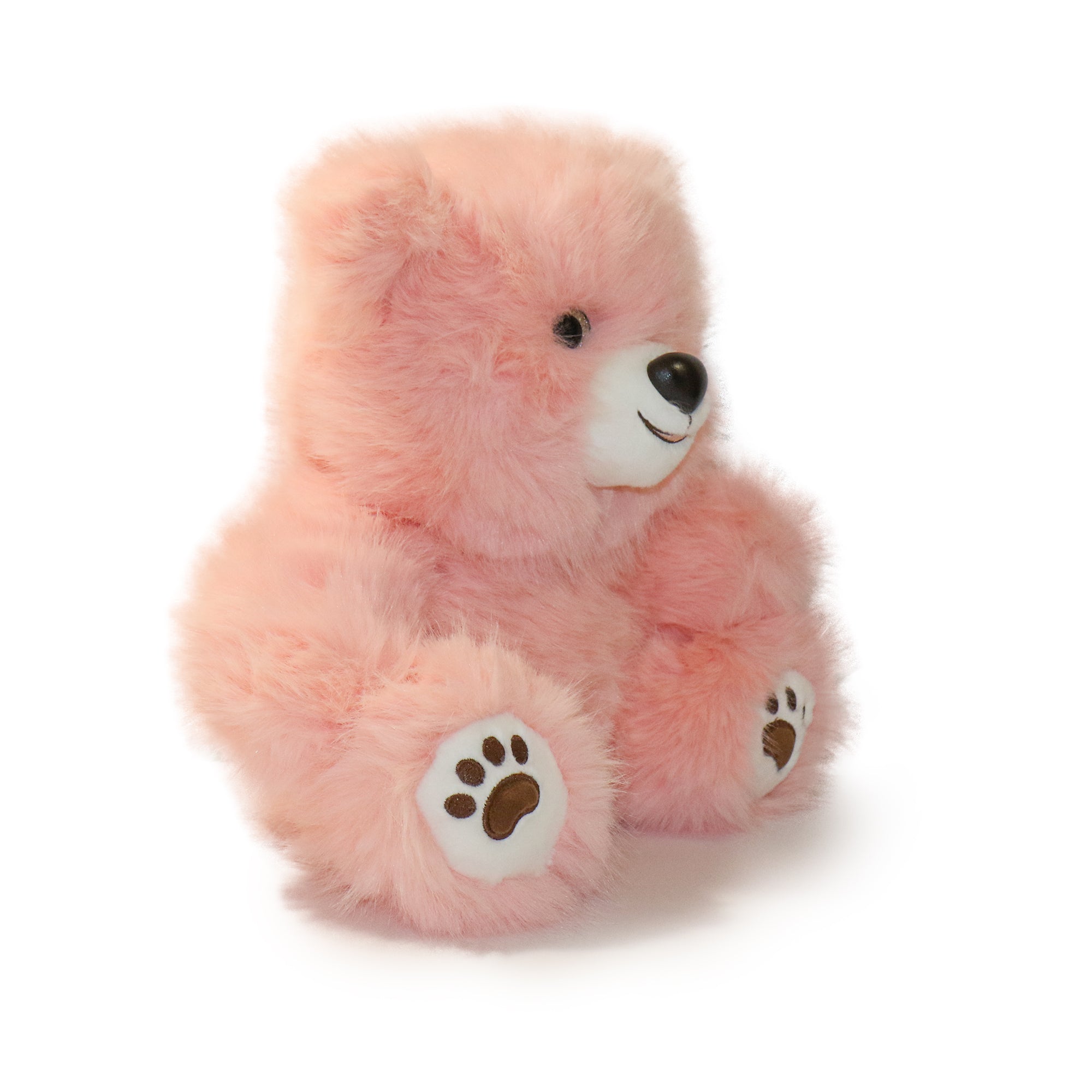 Honeywood Bear: A Plush Toy for Caregivers, Nurturers, and Comfort Givers