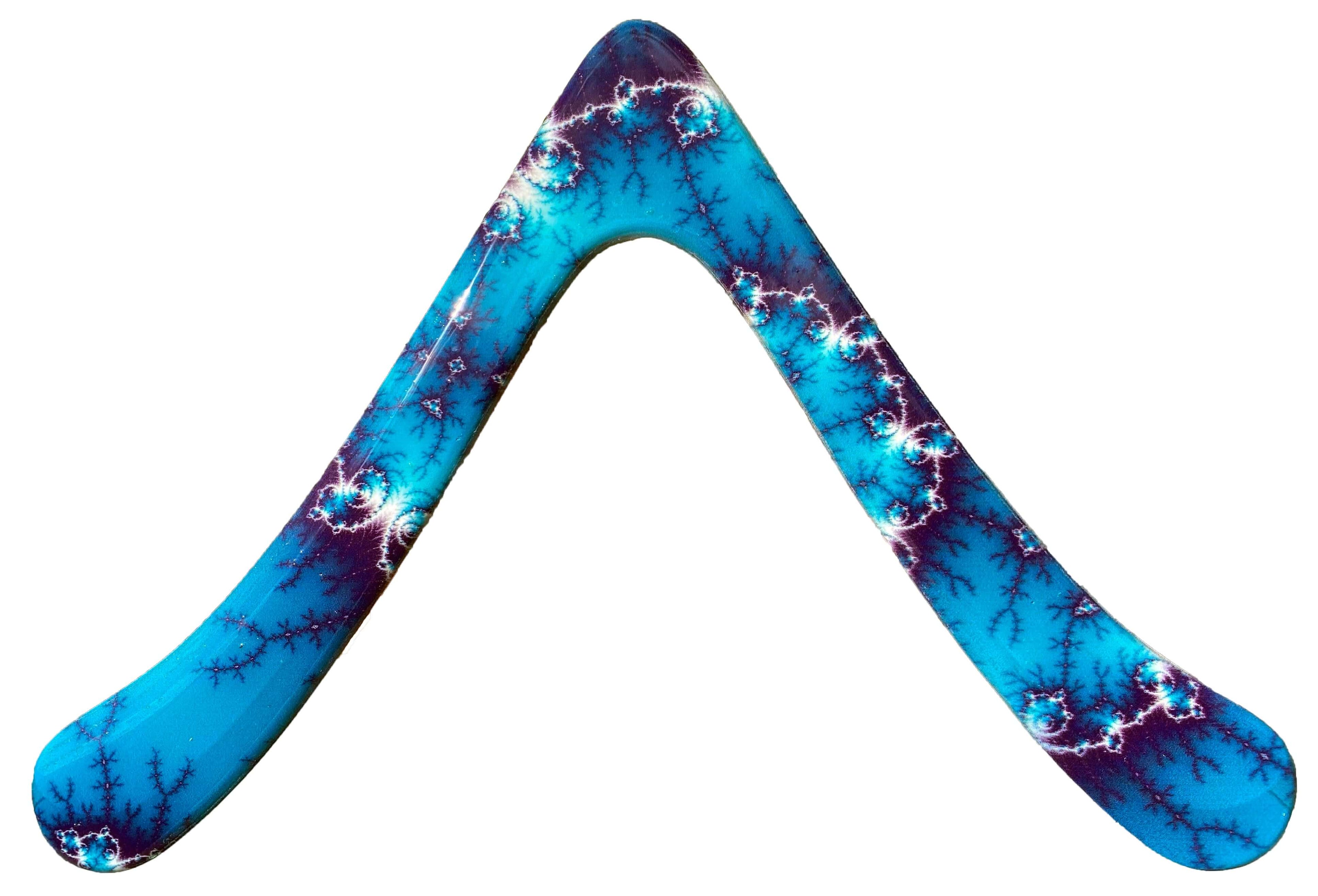 Beginner Boomerang - Seagull Special Edition Boomerang