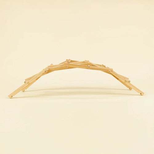 Da Vinci's Bridge DIY Kit - Educational STEM Toy Historic Engineering Model